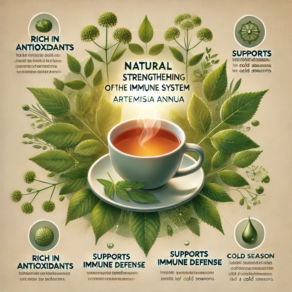 Natürliche Stärkung des Immunsystems