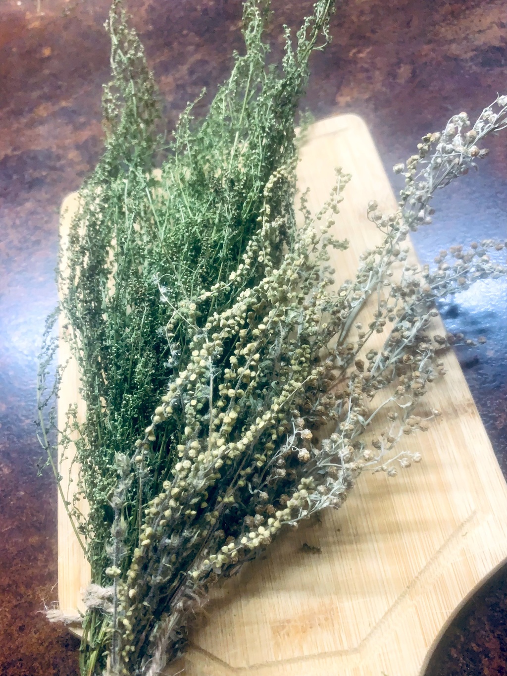 artemisia mit blüte