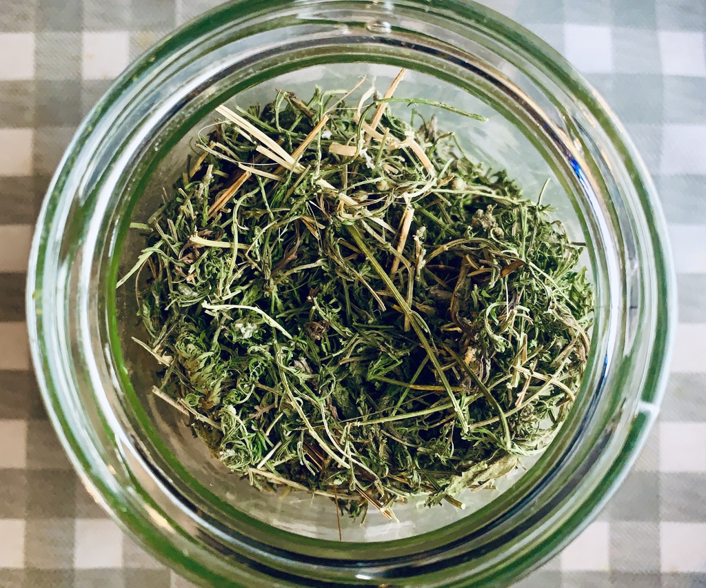 Schlechte Qualität des Beifuss Tee