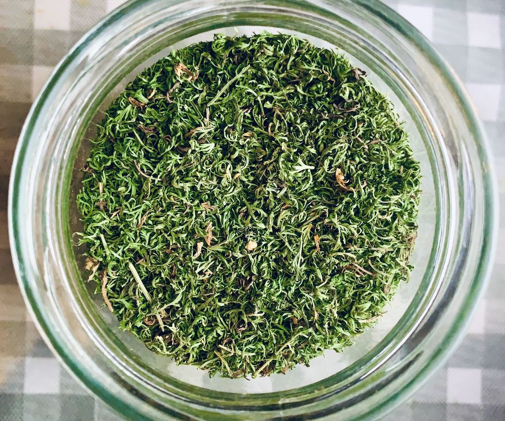 Gute Qualität des Artemisia Tee